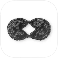 ‎Maple Family Organizer App icon