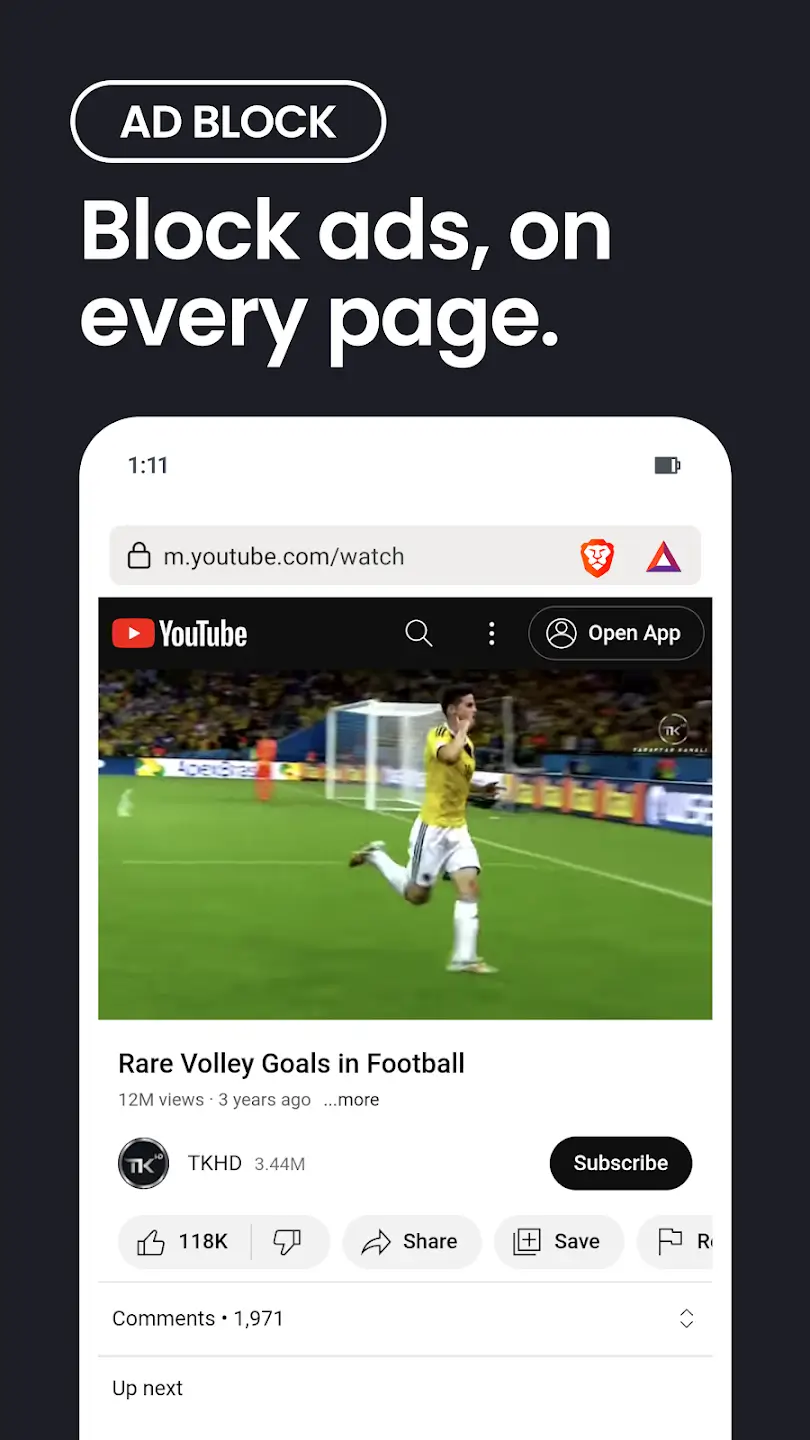 Brave Browser screenshot 1