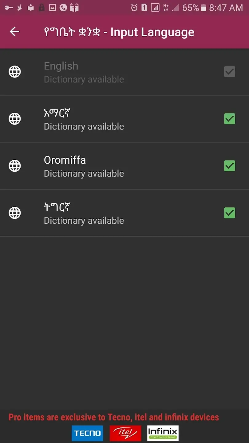 FynGeez screenshot 1