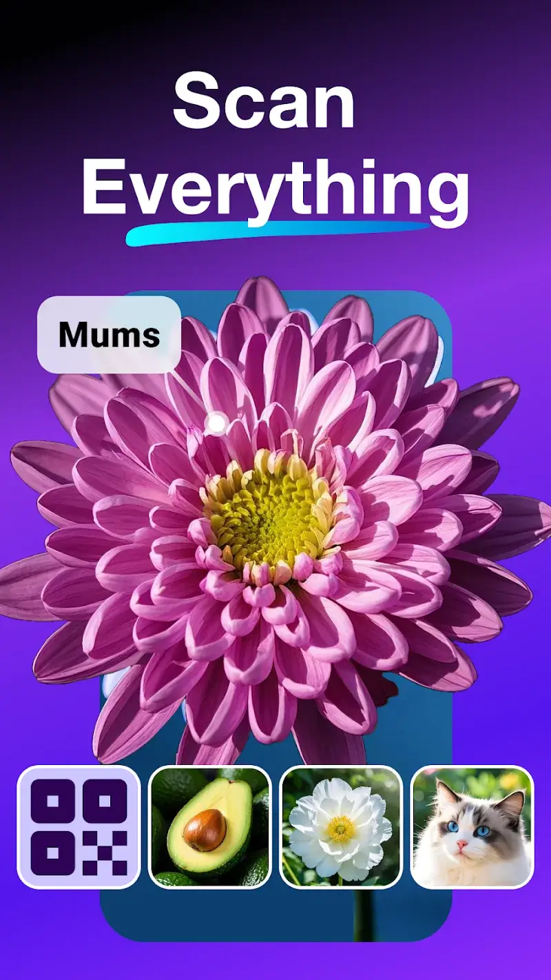 All Scanner: Scan & Identify screenshot 1