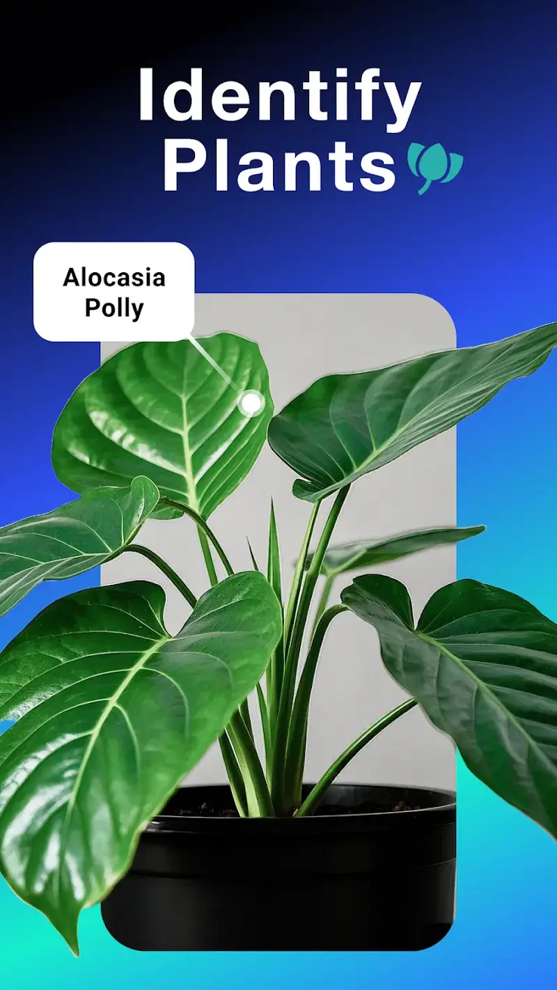 All Scanner: Scan & Identify screenshot 1