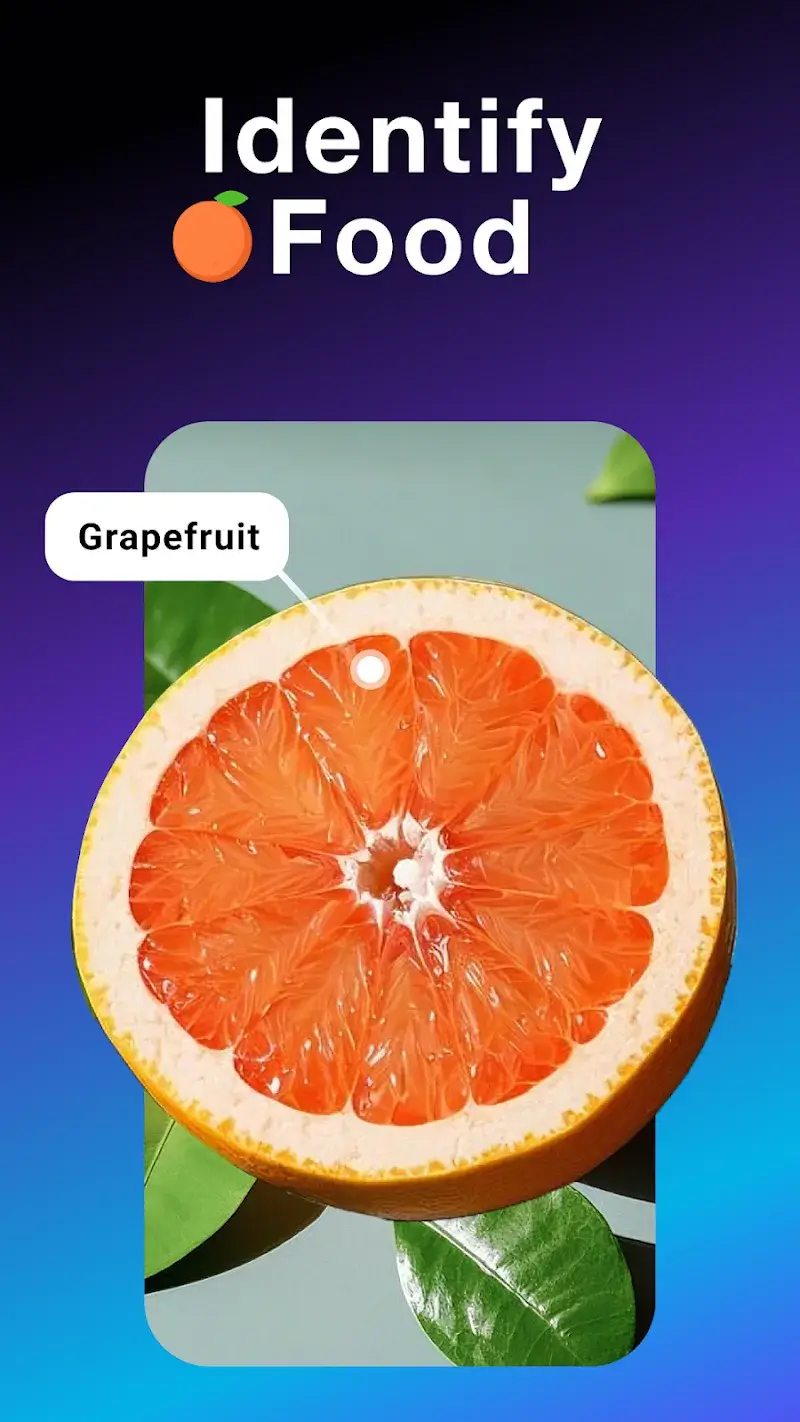 All Scanner: Scan & Identify screenshot 1