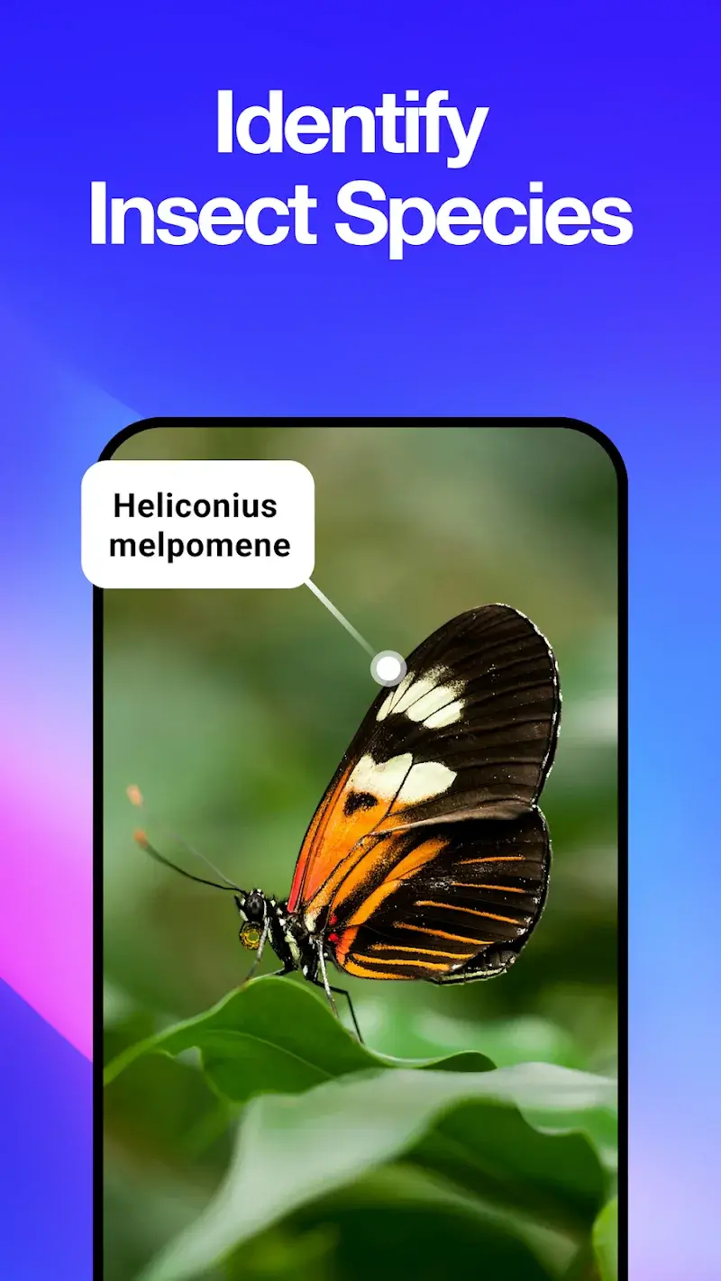 All Scanner: Scan & Identify screenshot 1