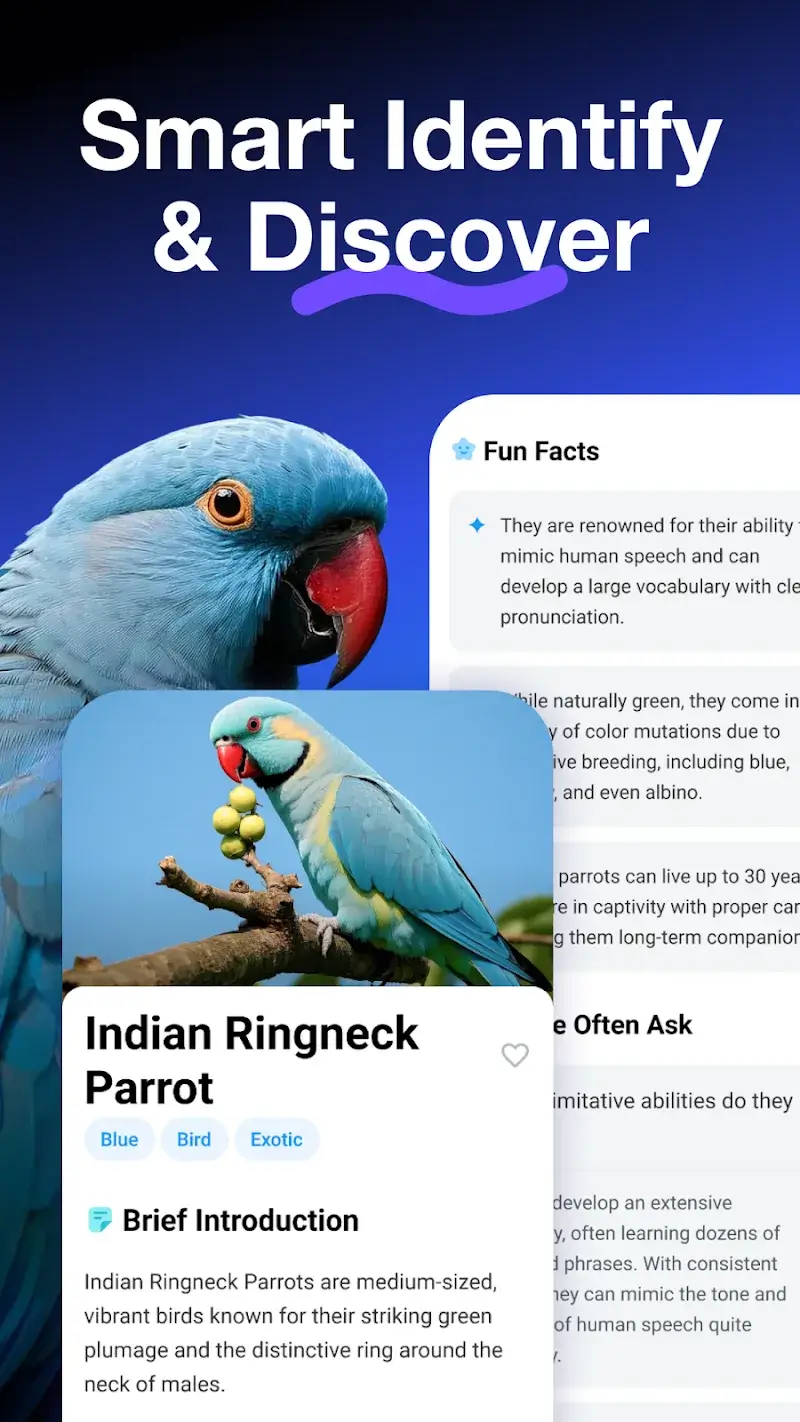 All Scanner: Scan & Identify screenshot 1