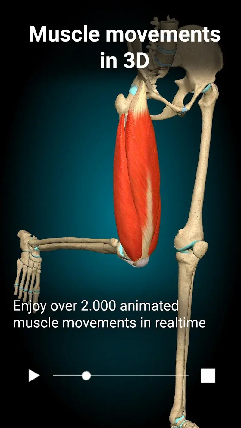 Anatomy Learning - 3D Anatomy screenshot 1