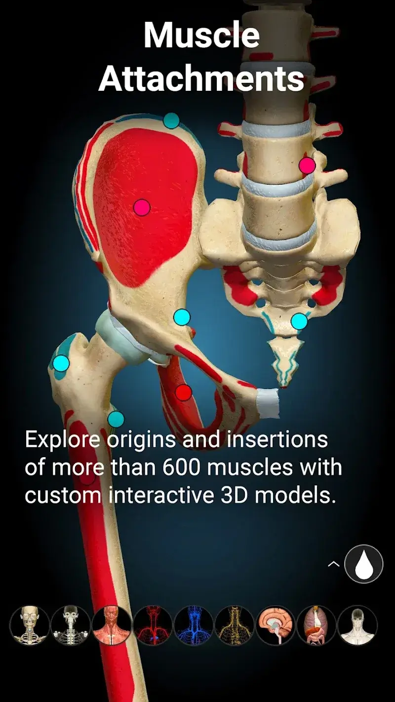 Anatomy Learning - 3D Anatomy screenshot 1