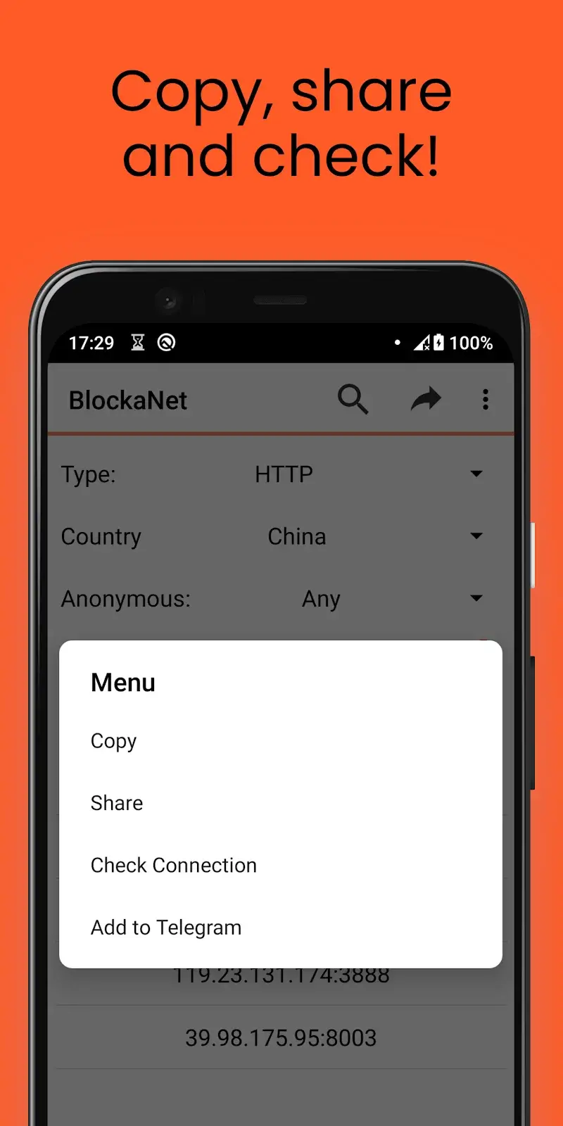 BlockaNet: Proxy list browser screenshot 1