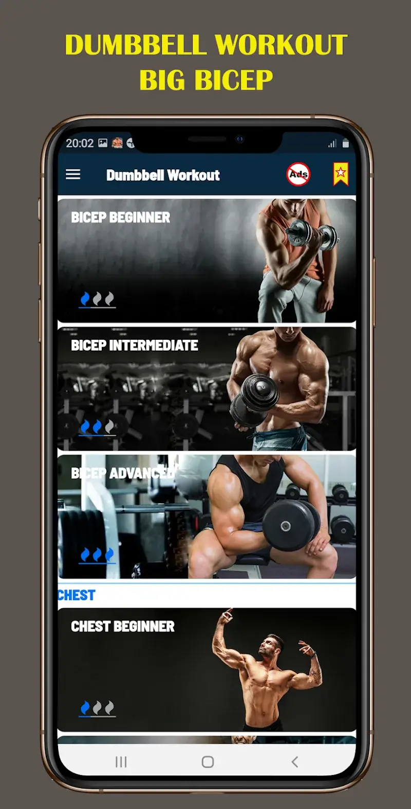 Dumbbell Home - Gym Workout screenshot 1