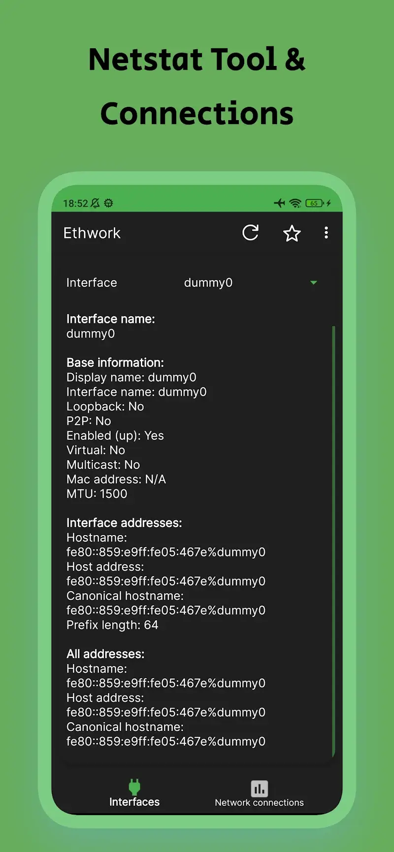 Ethwork: Netstat & Interfaces screenshot 1