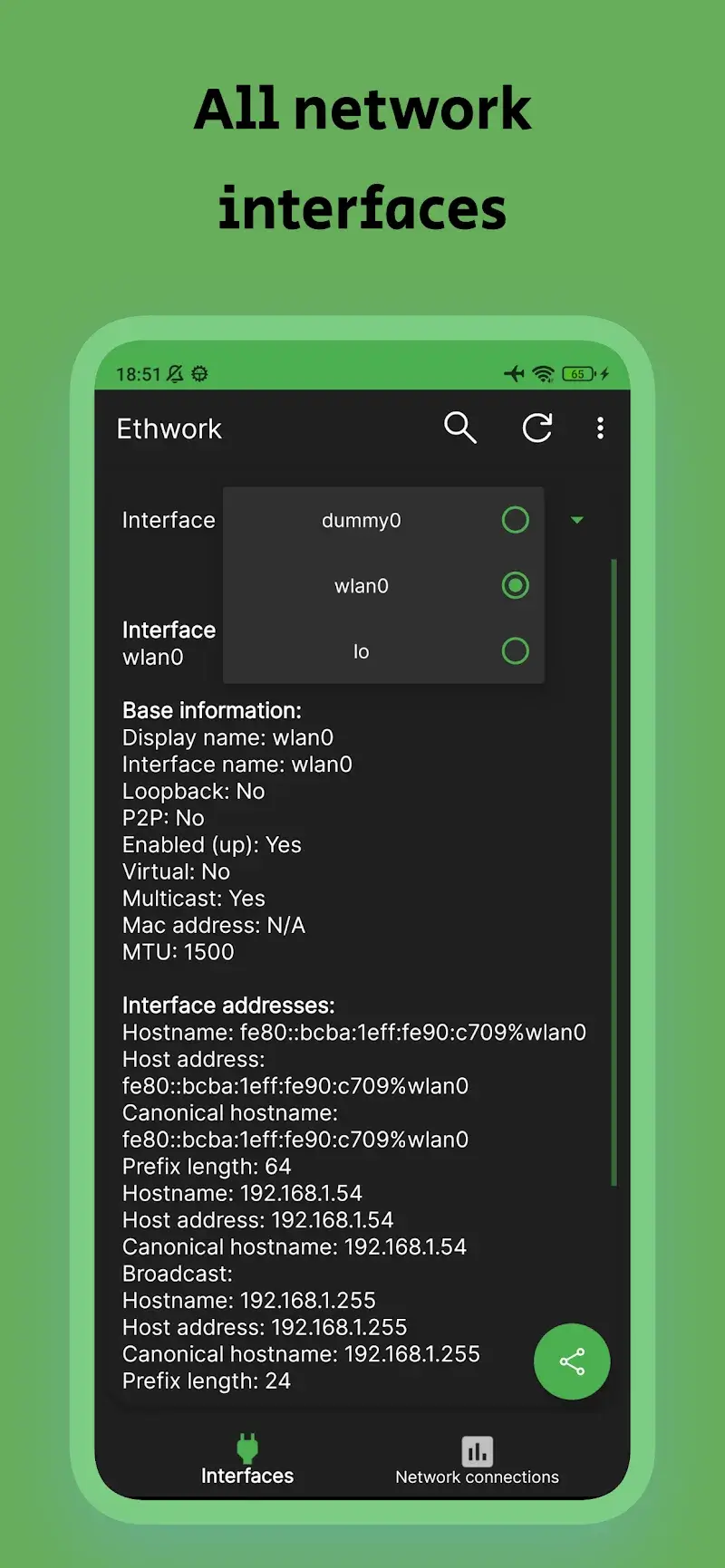 Ethwork: Netstat & Interfaces screenshot 1