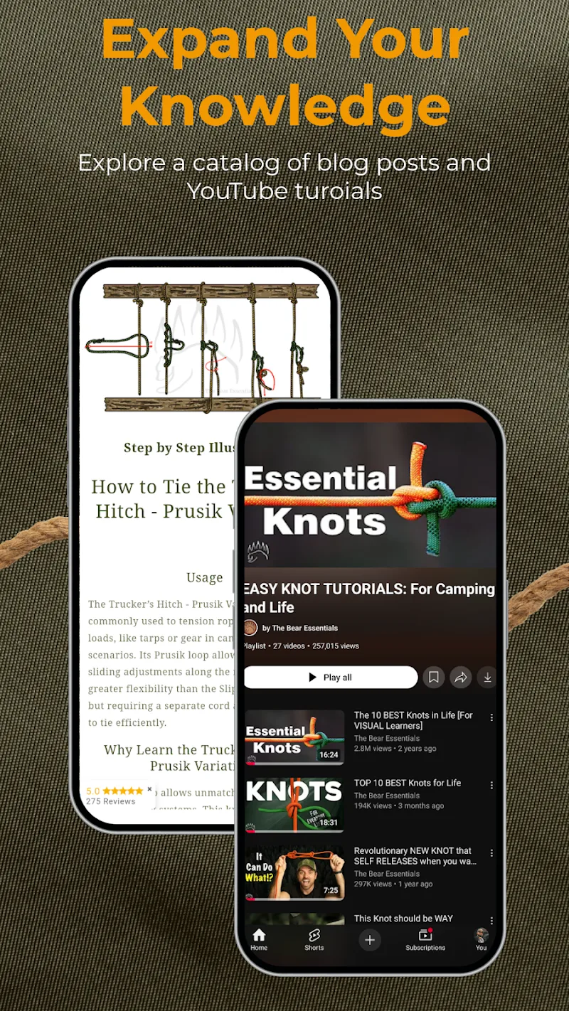 Knot IQ - The Bear Essentials screenshot 1
