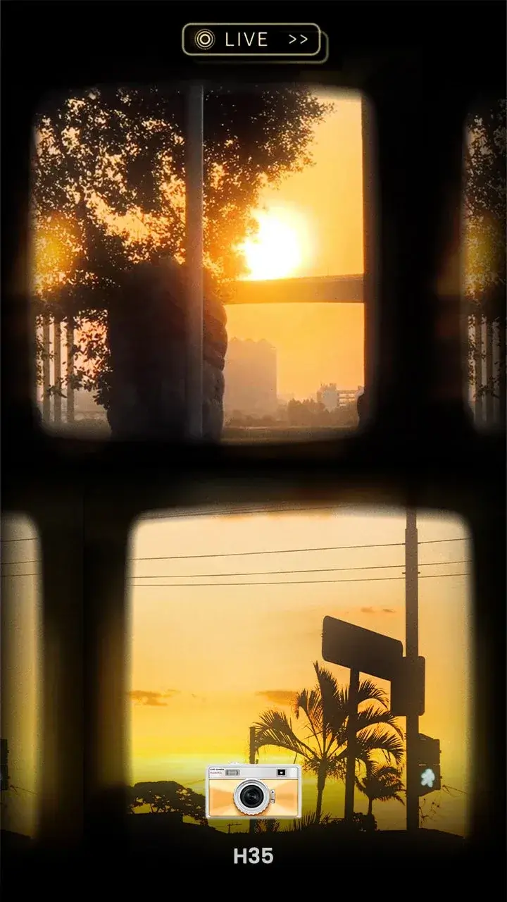 OldRoll - Vintage Film Camera screenshot 1