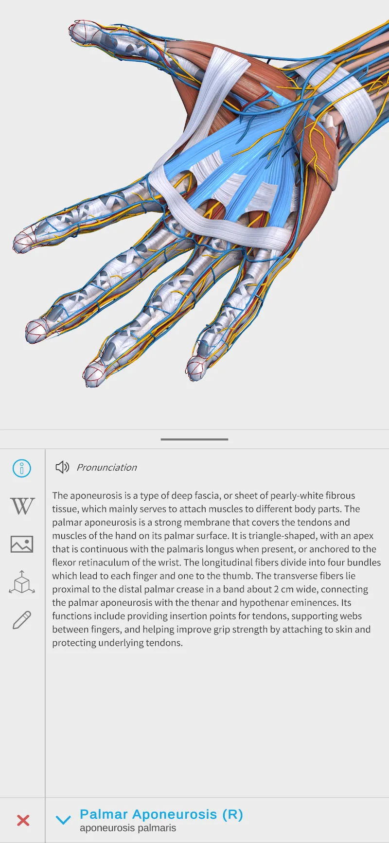 Visual Anatomy 3D screenshot 1