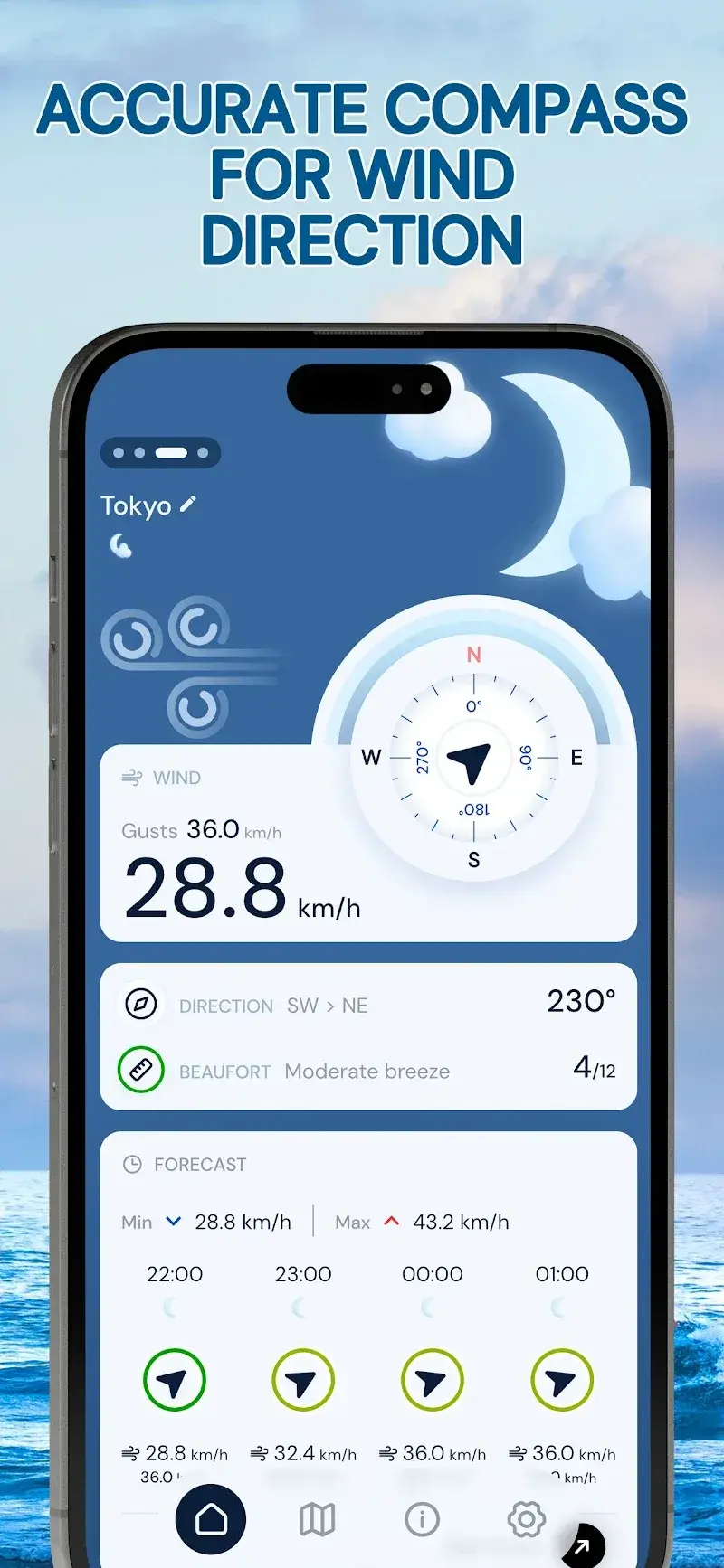 Wind Compass screenshot 1