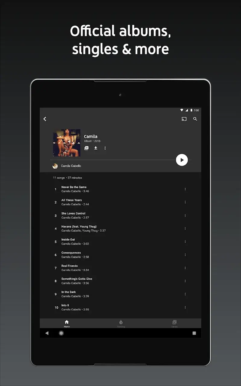 YouTube Music screenshot 1