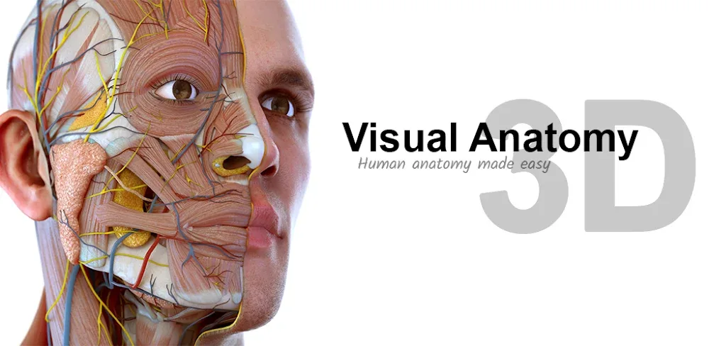 Visual Anatomy 3D icon
