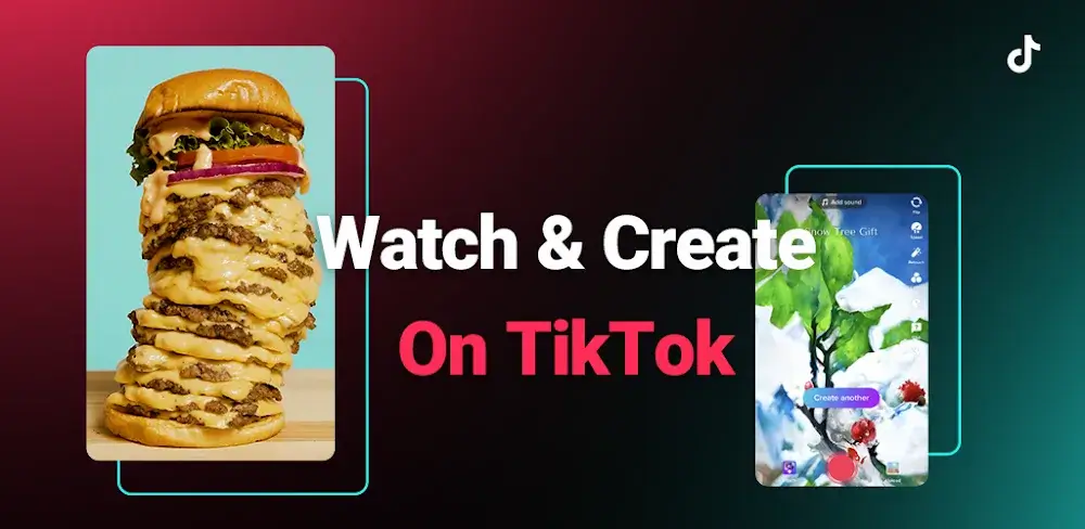 TikTok icon