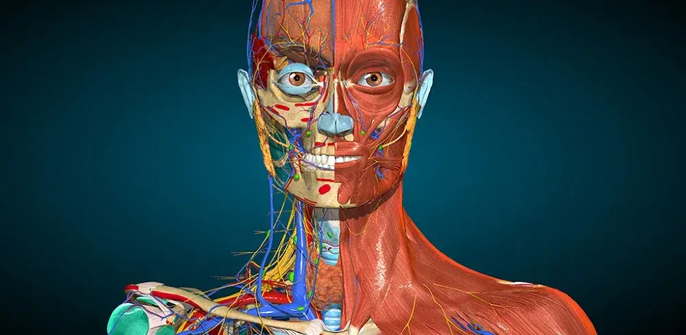 Anatomy Learning - 3D Anatomy icon