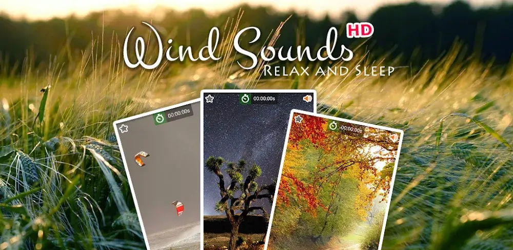 Wind Noise: Relax and Sleep (Wind Sounds) icon