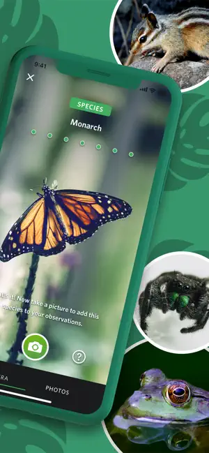 ‎Seek by iNaturalist App screenshot 1