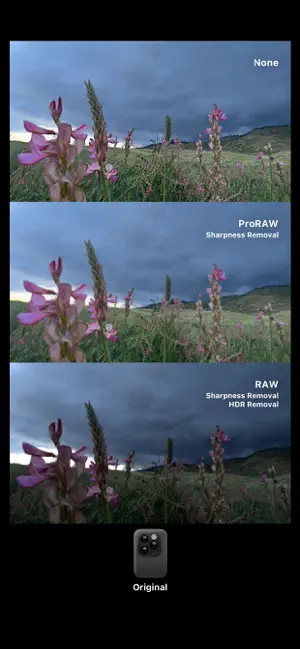 ‎Dazz Cam - Vintage Camera App screenshot 1