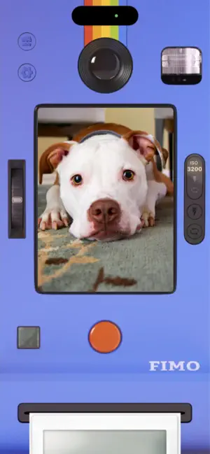 ‎FIMO - Analog Camera App screenshot 1