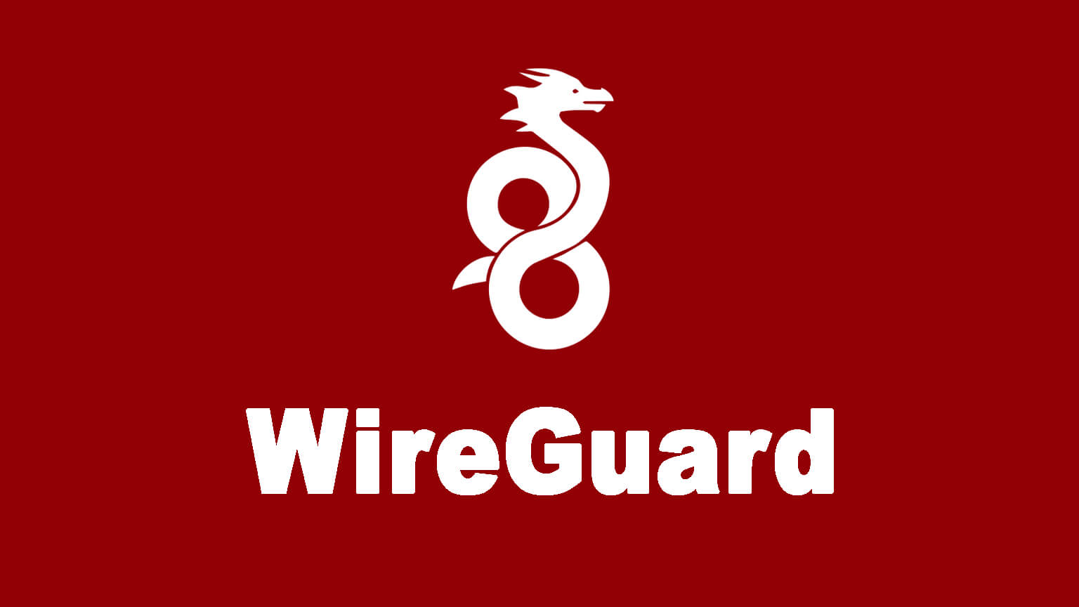 WireGuard icon