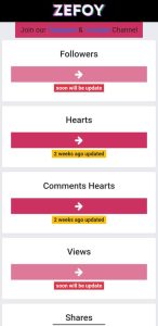 zefoy followers