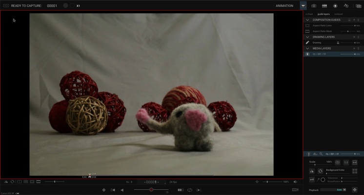 Dragonframe screenshot 1