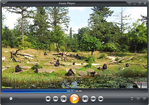 Zoom Player screenshot 1