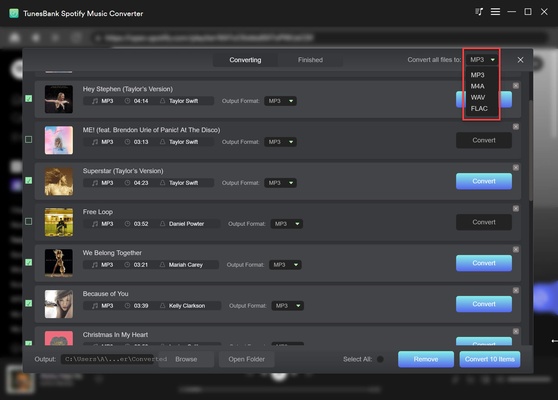 TunesBank Music Converter screenshot 1