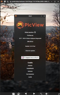 PicView screenshot 1