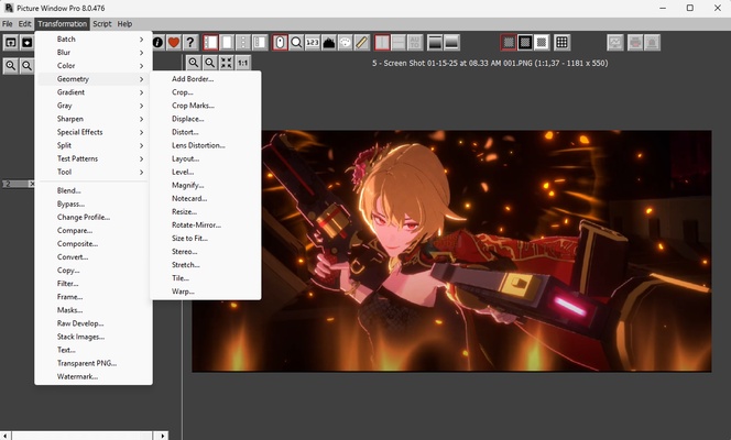 Picture Window Pro screenshot 1