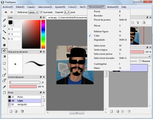 FireAlpaca screenshot 1