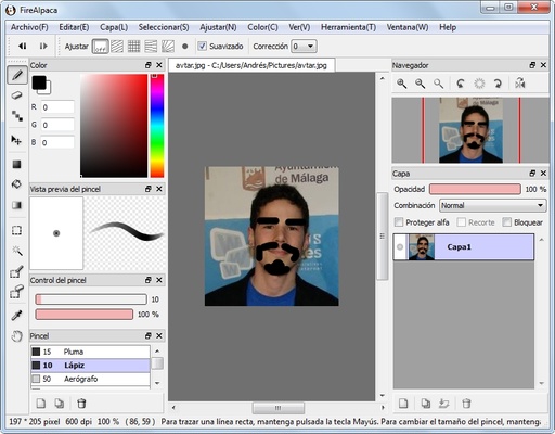 FireAlpaca screenshot 1