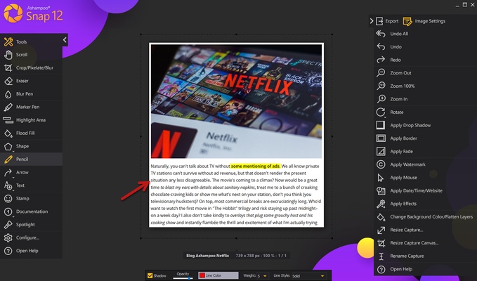 Ashampoo Snap screenshot 1
