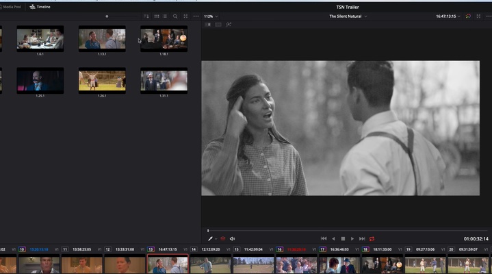 DaVinci Resolve screenshot 1