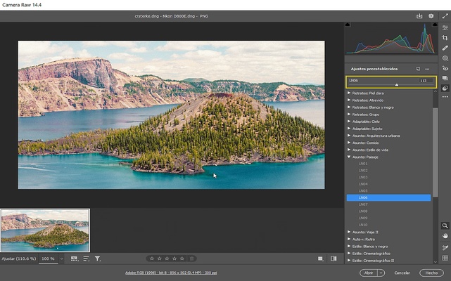 Adobe Camera Raw screenshot 1