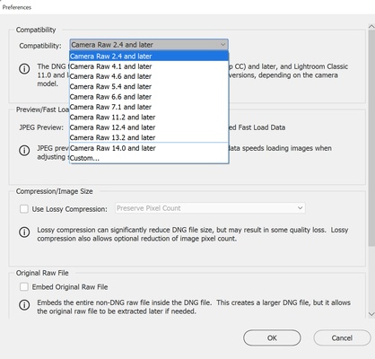 Adobe DNG Converter screenshot 1