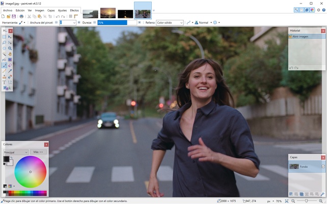 Paint.NET screenshot 1