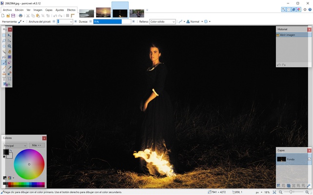 Paint.NET screenshot 1