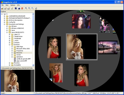 ImageSorter screenshot 1