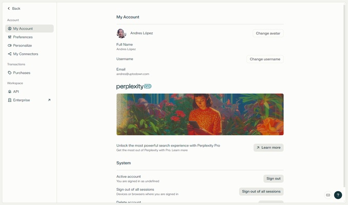 Perplexity screenshot 1