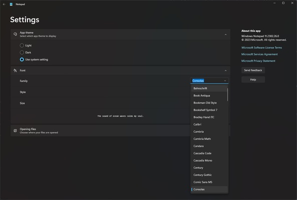 Windows Notepad screenshot 1