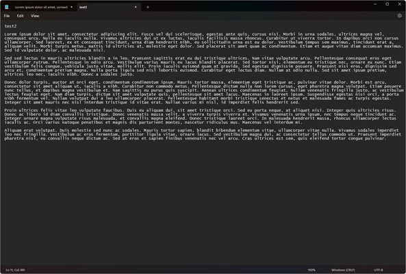 Windows Notepad screenshot 1