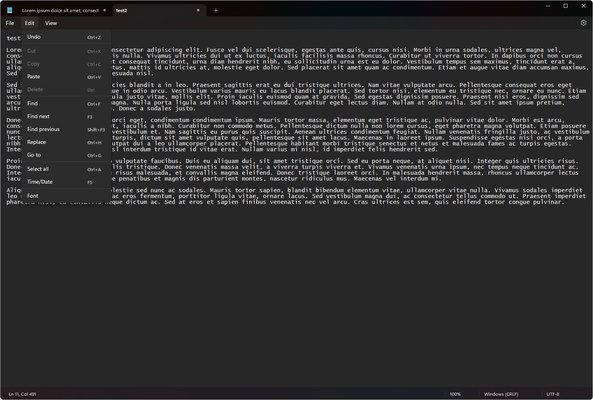 Windows Notepad screenshot 1