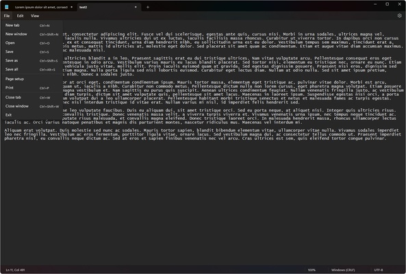 Windows Notepad screenshot 1