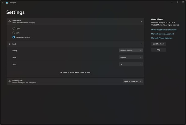 Windows Notepad screenshot 1