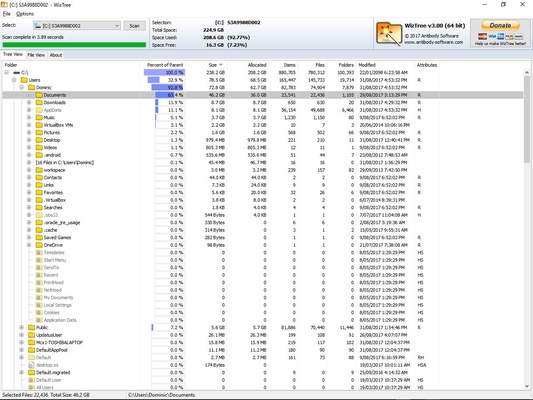WizTree Portable screenshot 1