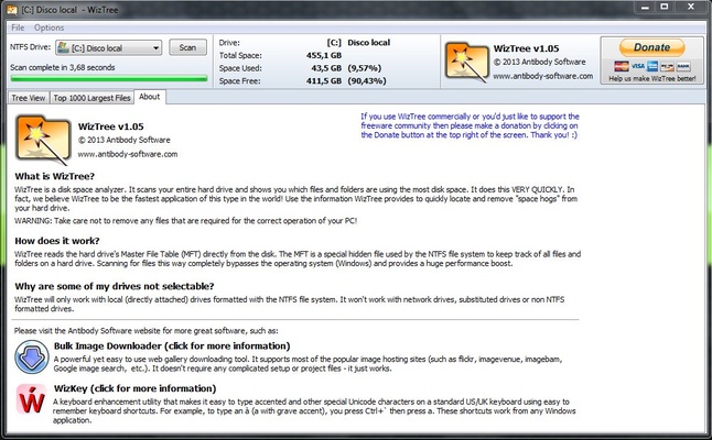 WizTree screenshot 1